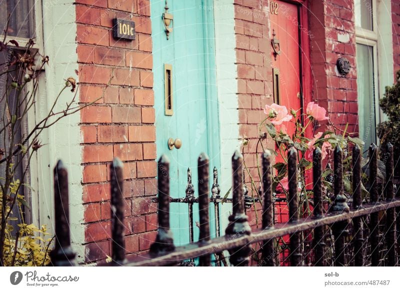 Rosen Lifestyle Häusliches Leben Haus Garten Blume Mauer Wand Tür einfach Billig Stadt rosa Geborgenheit Güte Gastfreundschaft Tor Zaun Wohnheim heimwärts