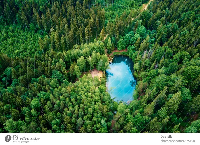 Luftaufnahme eines blau gefärbten Waldsees in Polen blauer See Antenne grün Teich farbenfroh Ansicht oben Top Wasser Herz wild Farbe Erholung Berge u. Gebirge