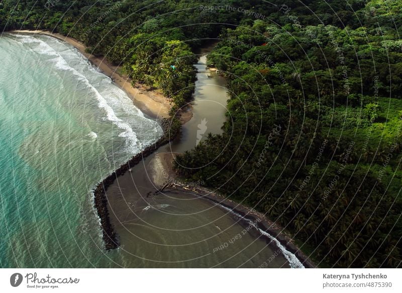 Fluss, der ins Meer stürzt, umgeben von Wald Antenne Luftbild Luftaufnahme Hintergrund Strand schön Schönheit blau Küste Küstenlinie kühle Natur Dröhnen Umwelt