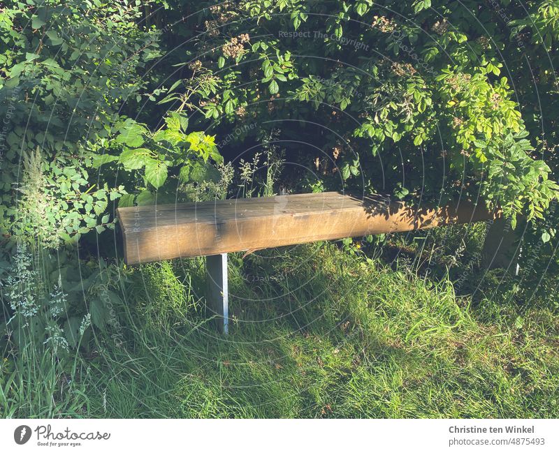 Ein schattiges Plätzchen im Grünen Bank Holzbank Sitzbank Licht und Schatten Sträucher zugewachsen ausruhen sitzen Ruhebank Spazierweg kühl Erholung Sommer Gras