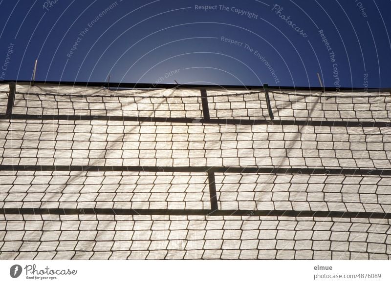 Baugerüst mit Schutznetz und Plane aus der Froschperspektive / Haussanierung Modernisierung Plastikplane Sichtschutz Arbeitsschutz Sicherheit Renovierung