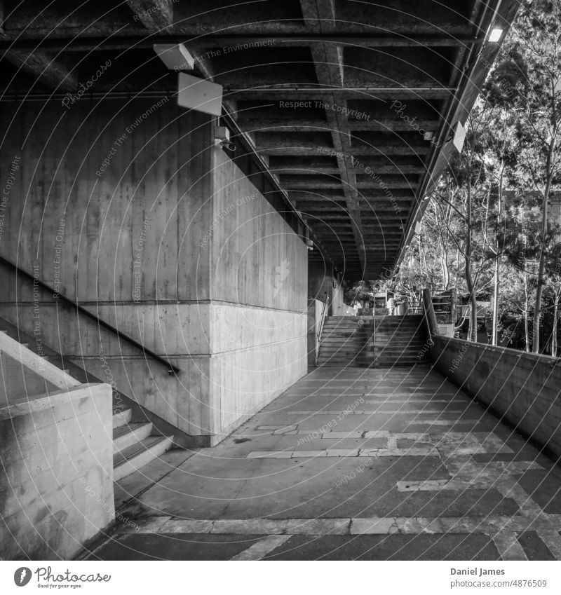 Brutalistischer Gang durch den Universitätscampus Architektur Beton Brutalismus Strukturen & Formen Gebäude Bauwerk Mauer Wand Schwarzweißfoto Linie Perspektive