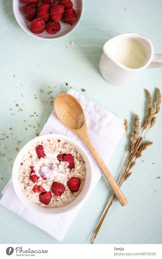 Warmer Haferbrei mit Himbeeren in einer Schüssel. Porridge. warm Frühstück Schalen & Schüsseln Frucht Ernährung lecker Diät Müsli Morgen Haferflocken Milch