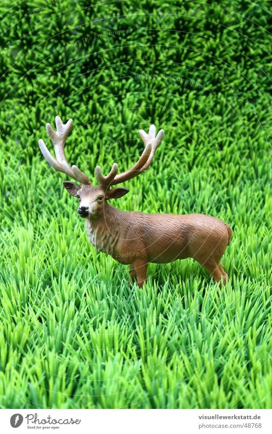 der hirsch im grünen Horn Hirsche Gras Unsinn Tier Statue Natur Kitsch wild ...