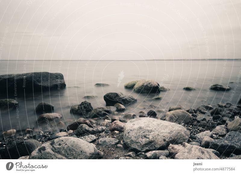 Das Meer und die Steine Ostsee Ostseeküste Küste Wasser Strand Nebel Felsen Traum Ufer Urlaub geheimnissvoll mystisch Mystik Weite weit frei Freiheit Landschaft