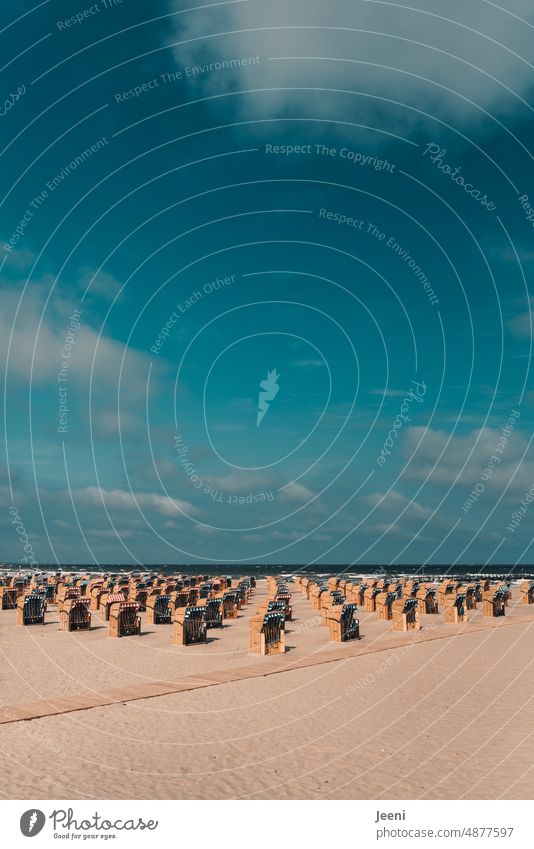 Ordentlich aufgereiht Strandkörbe Strandkorb Vermietung Ordnung ordentlich Sand Ostsee Himmel Wasser Meer Küste blau Urlaub nebeneinander System parallel gerade