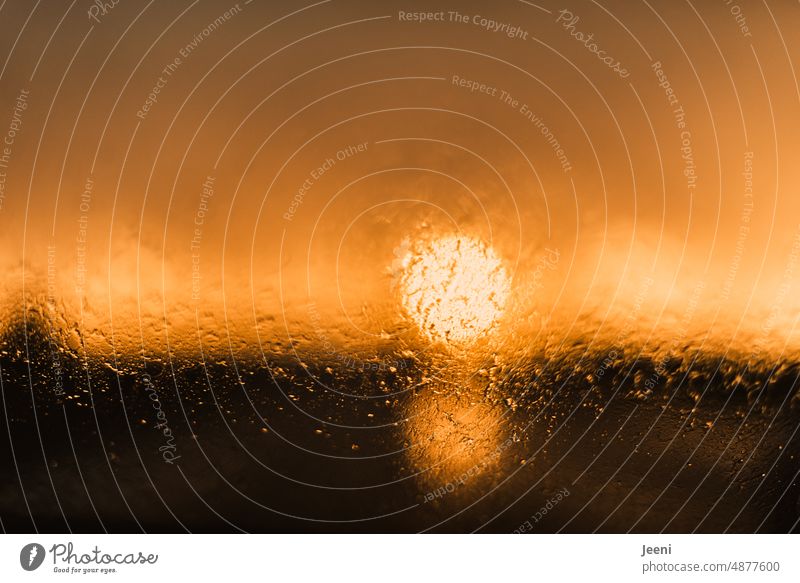 Sonnenuntergang bei Regen Sonnenschein Sonnenlicht Spiegelung Reflexion & Spiegelung Wasser Regentropfen Scheibe Autoscheibe Tropfen nass Wassertropfen feucht