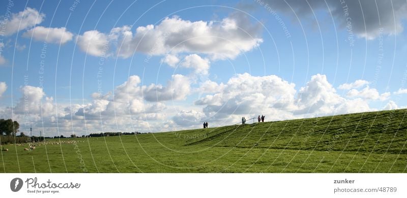 Sonntag am Deich Wiese grün Wolken Gras Schaf Horizont Fluss Bach Himmel Mensch blau Sonne Ferne