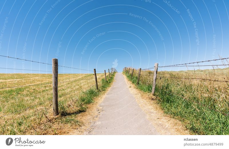 Weg in den blauen Himmel Landschaft wandern Nachlauf Reise Hintergrund Straße Asphalt Sonne reisen Strahlen Wiese Sommer Fußweg Textfreiraum Natur Blauer Himmel