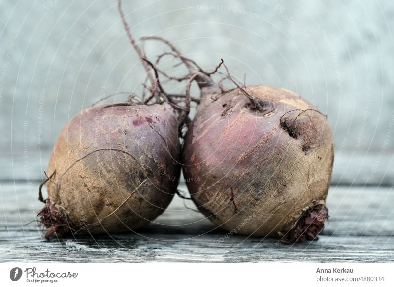 Zwei Rote Bete Knollen vor grauem Hintergrund Rote Beete superfood Gemüse zwei Knollen rote Rübe 2 Vegane Ernährung Vegetarische Ernährung Lebensmittel