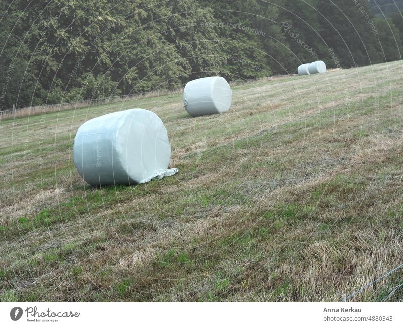 Siloballen auf dem Feld Silofolie Landwirtschaft Ackerbau & Viehzucht Außenaufnahme Menschenleer Getreide Wiese ländlicher Raum ländliche szene ländliches motiv