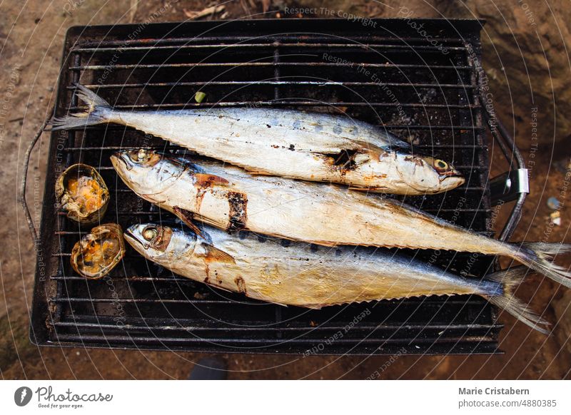 Draufsicht auf Fische und Krabben in einem Kohlegrill, ein in Kambodscha übliches Gericht namens Trey Ang khmer gegrillter fisch. kambodscha