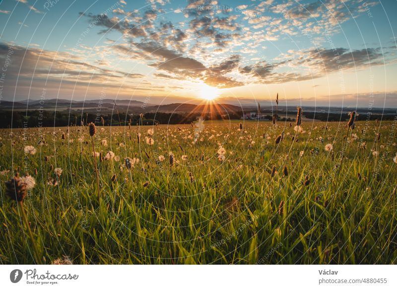 Sonnenuntergang in dem Dorf Raskovice im Osten der Tschechischen Republik. Die Sonne beleuchtet zum letzten Mal die Grashalme auf einer wilden Wiese raskovice