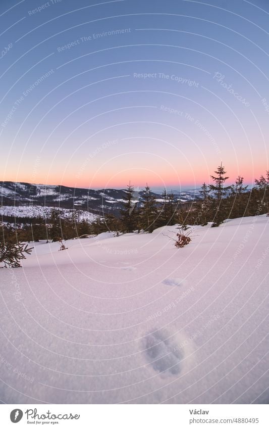 Wunderschöner Sonnenaufgang auf der Barania Gora in den polnischen Beskiden mit Blick auf das Tal, das zum Leben erwacht. Ein frostiger und winterlicher Morgen. Tierspuren