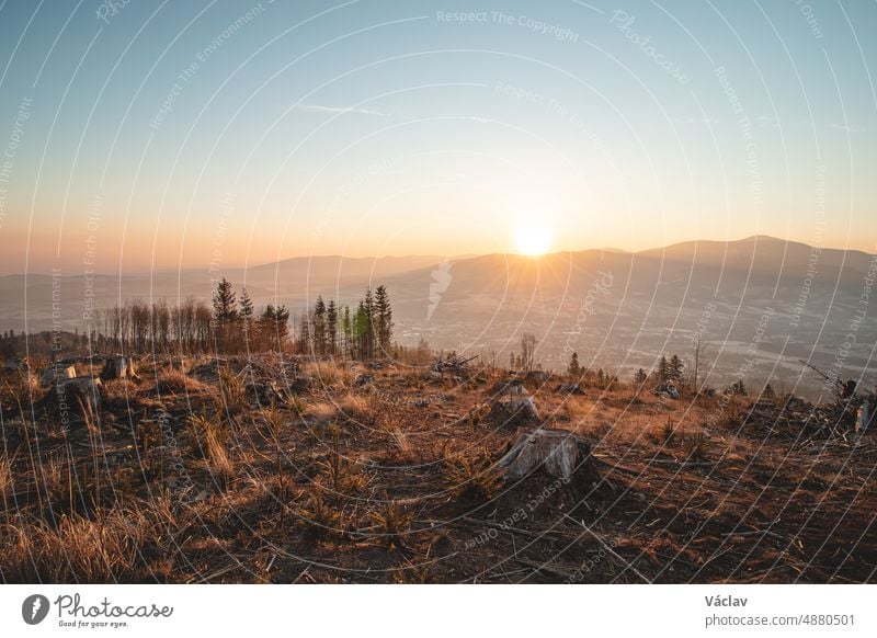 Märchenhafter Sonnenaufgang in den Beskiden bei Frydlant von Ostravice. Eine Inversion teilt die Strahlen der sanft aufgehenden Sonne. Natürliches Elend in Form von abgeholzten Wäldern