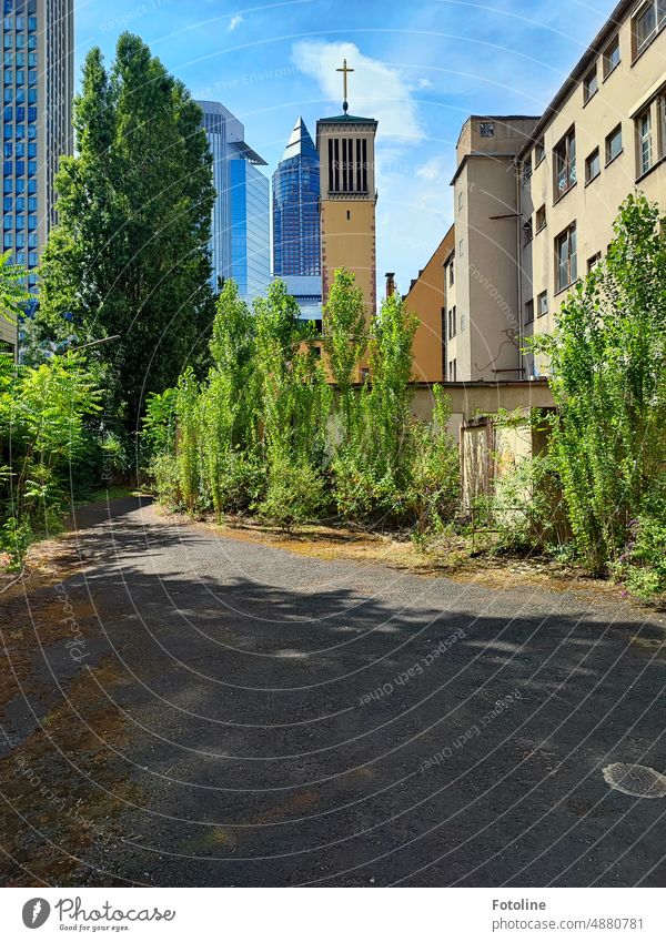 Blick von einem Hinterhof in die Innenstadt von Frankfurt am Main. Gut zu sehen, auch eines der Wahrzeichen, der Bleistift. Haus Fenster Fassade Stadt