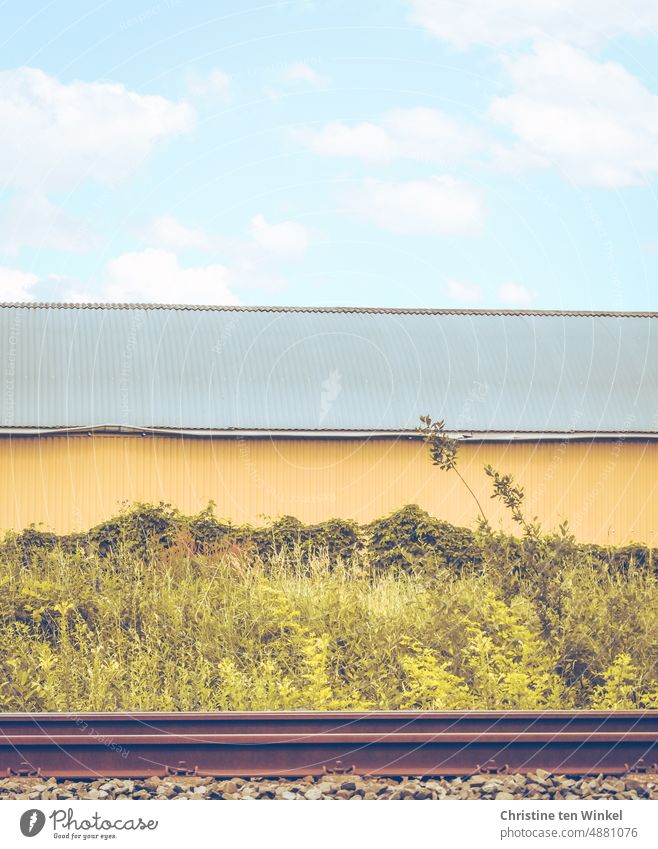 Industrie I Alte gelbe Lagerhalle hinter Bahngleisen und Grünzeug Fabrikhalle Lagerplatz Güterverkehr & Logistik Lagerhaus Warenlager Strukturen & Formen