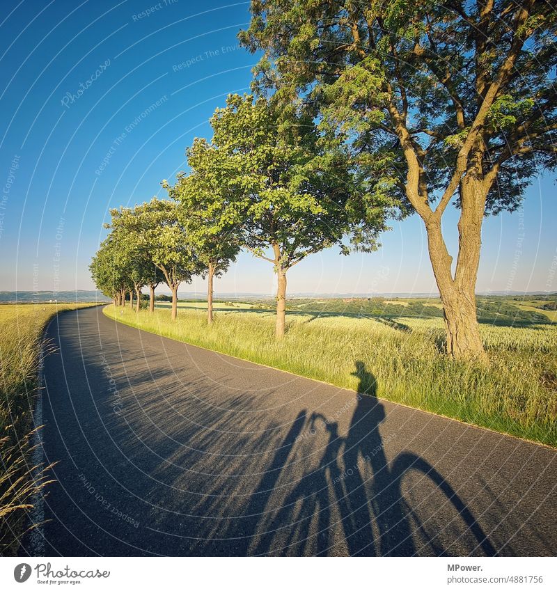 fahrradtour Rennrad Straße Allee Abendsonne Tour Fahrrad Sport Fahrradfahren Außenaufnahme Baum Geschwindigkeit Tour de France Stadt Radrennen Tag Fahrradtour