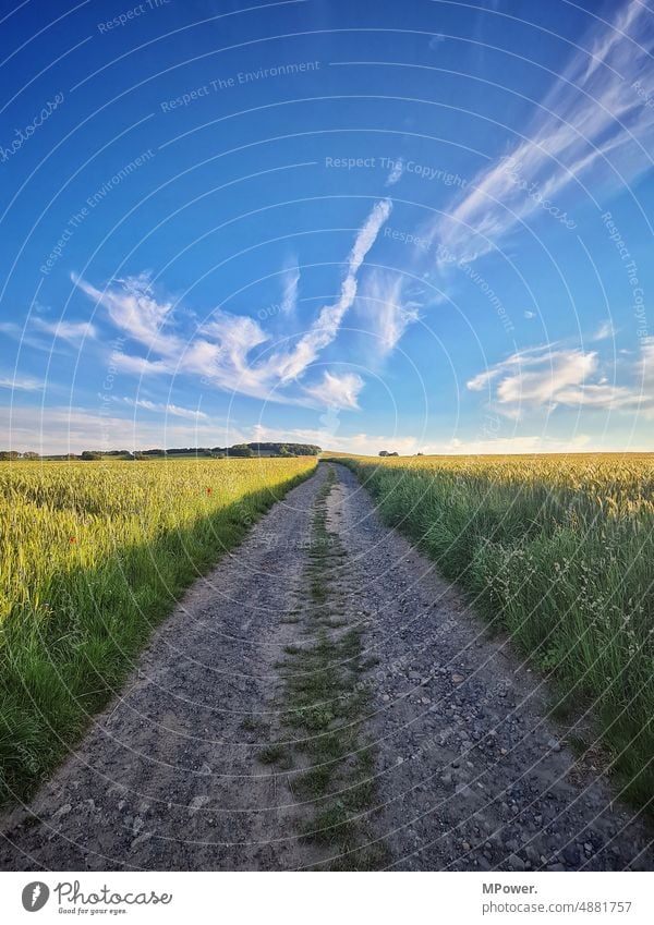 feldweg Wege & Pfade Sommer geradeaus wanderweg Wolken Feld grün Landwirtschaft steinig Blauer Himmel Menschenleer Straße Außenaufnahme Umwelt Schönes Wetter