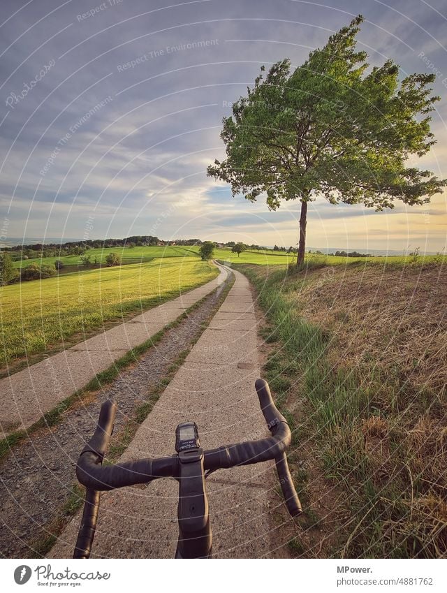 mit den Rad auf Tour feldweg Rennrad Fahrrad fahren Baum Natur radreise Lenker Außenaufnahme Fahrradfahren Freizeit & Hobby Lifestyle Wege & Pfade sportlich