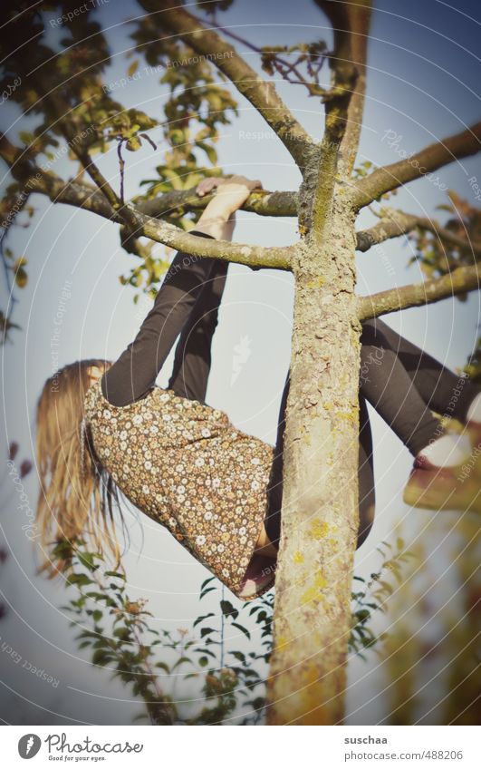 rauf auf den baum 3 feminin Kind Mädchen Kindheit Kopf Haare & Frisuren Arme Hand Beine Fuß 8-13 Jahre Holz festhalten Gesundheit wild Baumstamm Apfelbaum