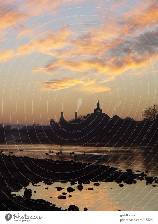 abend an der elbe harmonisch Erholung ruhig Sightseeing Landschaft Himmel Wolken Herbst Schönes Wetter Flussufer Stadt Stadtzentrum Turm Bauwerk Gebäude