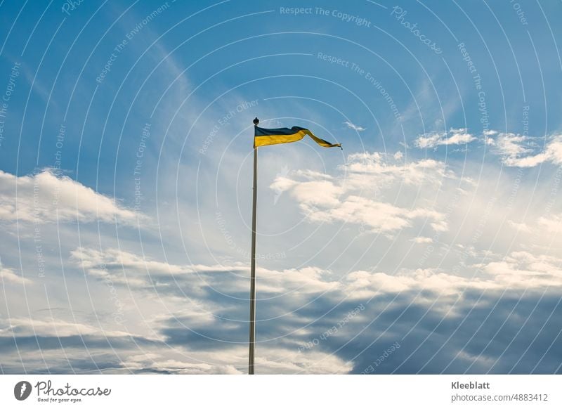 Schwedische Flagge als Wimpel auf Fahnenmast gegen sonnig bewölktem blauen Himmel Schweden schwedische Flagge Königreich Wind Patriotismus Nationalflagge