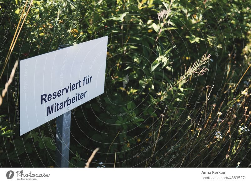 Ein -Reserviert für Mitarbeiter- Schild steht mitten im Grünen Schilder & Markierungen reserviert Außenaufnahme Zeichen Menschenleer Hinweisschild Parkplatz