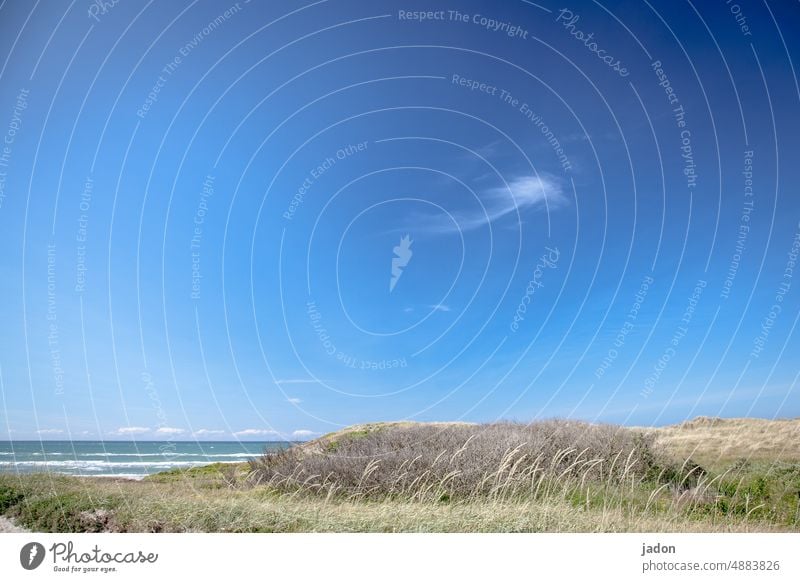 die leichtigkeit des seins. Natur Sommer Himmel Sonne Wolken Wölkchen Meer Düne Stranddüne Ferien & Urlaub & Reisen blau Menschenleer Landschaft Leichtigkeit