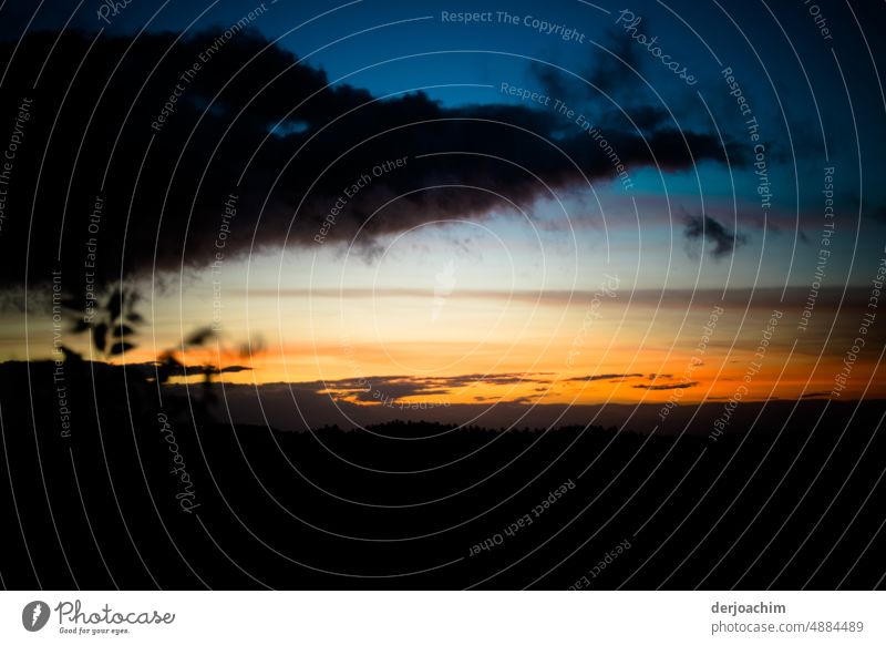 Unheimliche Erscheinung  am Himmel. Wolke - Himmel Natur Wetter Außenaufnahme Menschenleer Farbfoto Schönes Wetter Tag Licht Sonnenlicht Sommer Umwelt Wolken