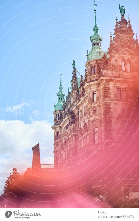 Hamburger Rathaus im Sommer Sehenswürdigkeit Farbfoto Menschenleer Wahrzeichen Hafenstadt Stadt Denkmal Außenaufnahme Architektur ästhetisch Gebäude Bauwerk