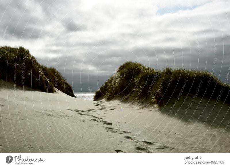 Düne in Jütland Dünengras Sand Küste Nordsee Nordseeküste Dänemark Himmel Wolken Strand Meer Landschaft Natur Spuren Fußspur Wege & Pfade