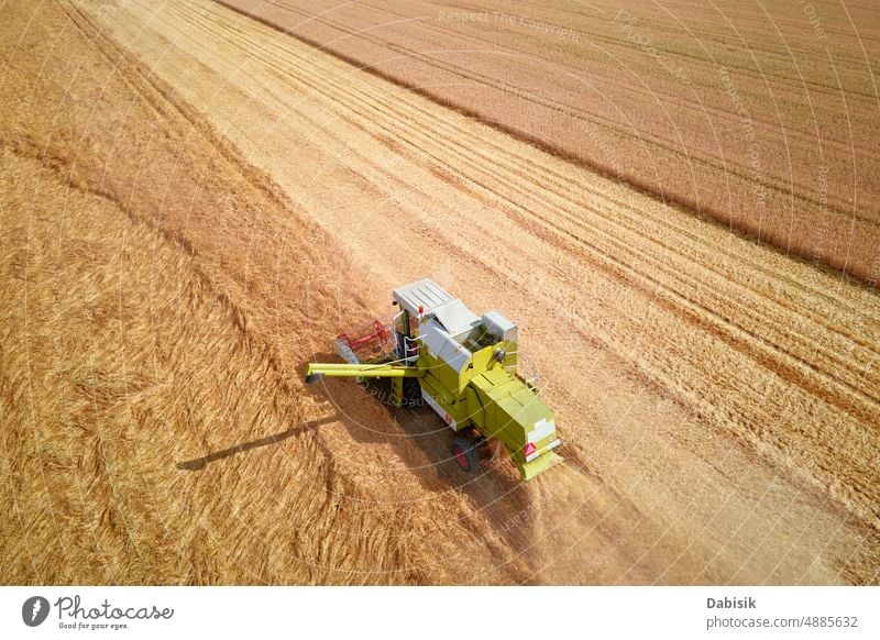 Mähdrescher im Einsatz auf dem Feld Ernte Ackerbau Weizen Bauernhof Ackerland Landschaft Traktor Korn Müsli Industrie Gerät Lebensmittel Maschine Arbeit