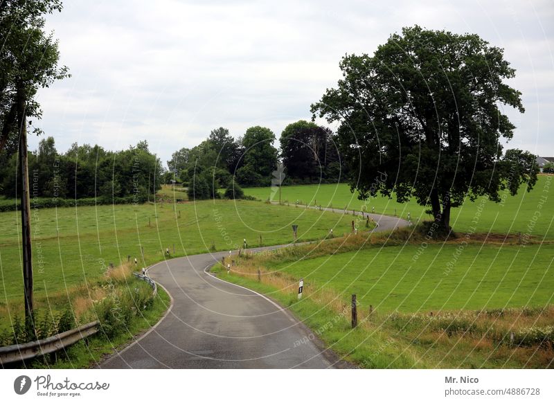 kurvig Straße Verkehrswege Landstraße Wege & Pfade Landschaft Baum Umwelt S-Kurve Kurven außerorts Asphalt ländlich Idylle Fahrbahn Wiese ländliche Umgebung