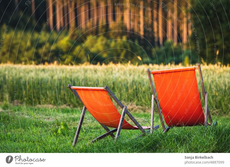 Enjoy the forest :) Liegestühle am Waldrand Liegestuhl Urlaub Erholung Sommer ruhig Farbfoto Ferien & Urlaub & Reisen Außenaufnahme Menschenleer Sommerurlaub