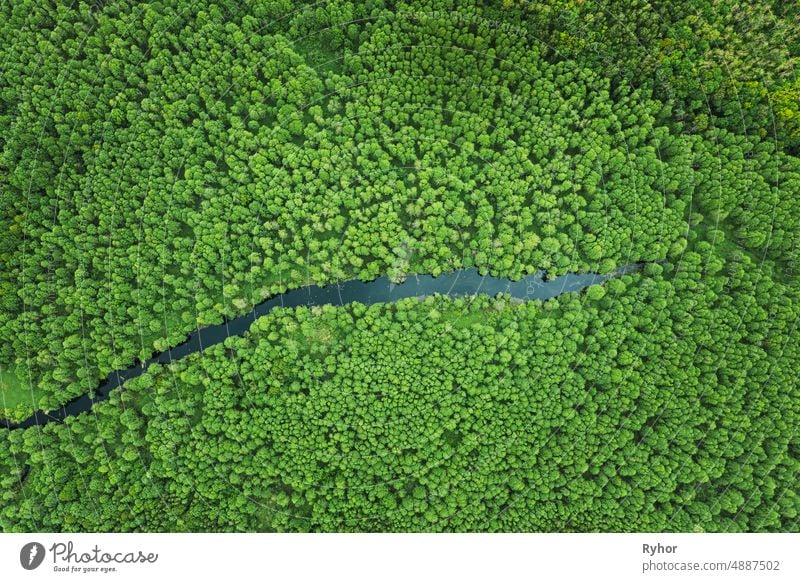 Erhöhte Ansicht der grünen kleinen Moor Sumpf Sumpf Fluss Feuchtgebiet und grünen Wald Landschaft im Sommer Tag. Attitude Ansicht. Wald in der Vogelperspektive