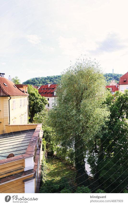 In der Stadt der hundert Türme (zwei dreiviertel) Goldene Stadt Prag Sonne Architektur Mittelalter historisch Tschechien Europa Ferien & Urlaub & Reisen