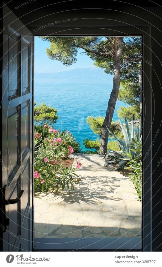 schöne Aussichten Ferien & Urlaub & Reisen Freiheit Sommer Sommerurlaub Sonne Meer Haus Garten Natur Landschaft Pflanze Tier Wasser Schönes Wetter Baum Blume