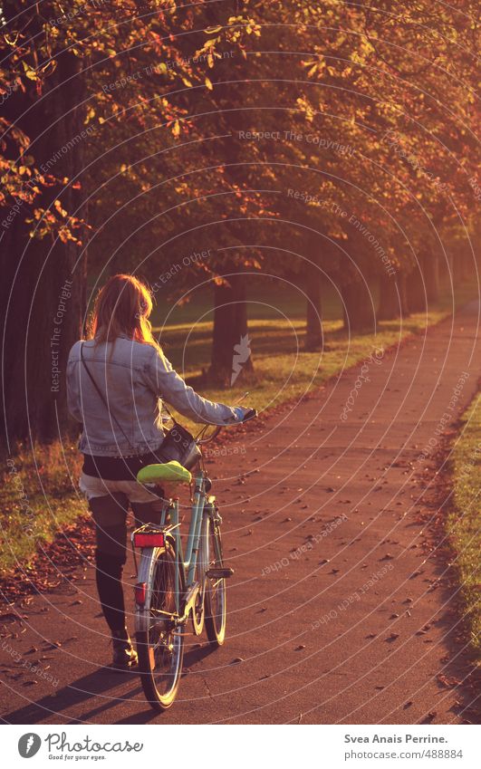 herbst. feminin Junge Frau Jugendliche Haare & Frisuren 1 Mensch 18-30 Jahre Erwachsene Umwelt Natur Sonnenaufgang Sonnenuntergang Sonnenlicht Herbst