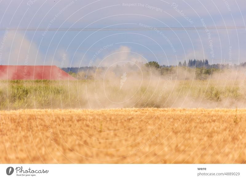 Staubwolken über reifen Getreidefeldern mit gelben Ähren Hunger Ackerbau Brot Wolken Textfreiraum Staubwischen Bauernhof Landwirt Mehl Lebensmittel Korn