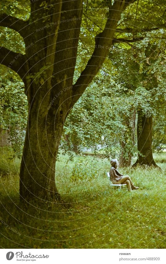 pause Mensch feminin Junge Frau Jugendliche Erwachsene 1 Umwelt Natur Landschaft Pflanze Baum Gras Sträucher Garten Park Wiese Wald grün ruhig Erholung sitzen