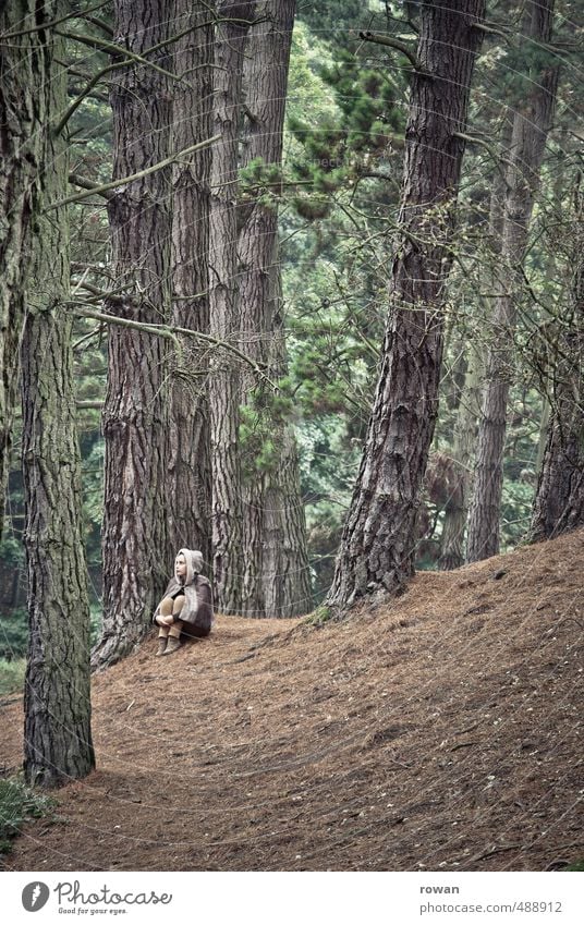 allein Mensch feminin Junge Frau Jugendliche Erwachsene 1 Umwelt Natur Landschaft Baum Wald Denken hocken sitzen träumen Traurigkeit weinen gruselig trist