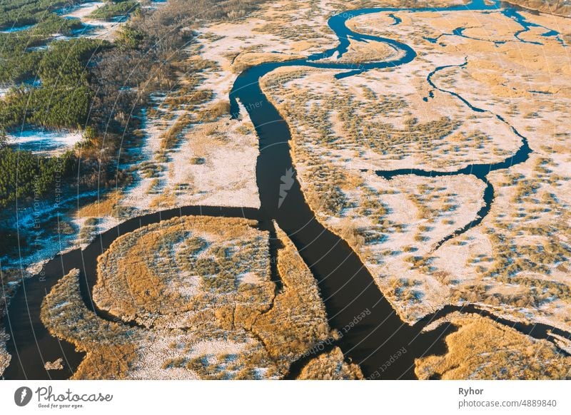 Weißrussland. Luftaufnahme von trockenem Gras und geschwungenen Fluss Landschaft im frühen Frühling Tag. High Attitude Ansicht. Sumpf Moor. Drone Ansicht. Vogelperspektive Blick