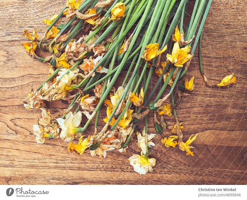 !Trash 2022 !| noch zu gut für die Tonne ..? Narzissen Blumen verblühte Blumen zu gut für die tonne verwelkt ausgeblüht Blumenstrauß Holzuntergrund dekorativ