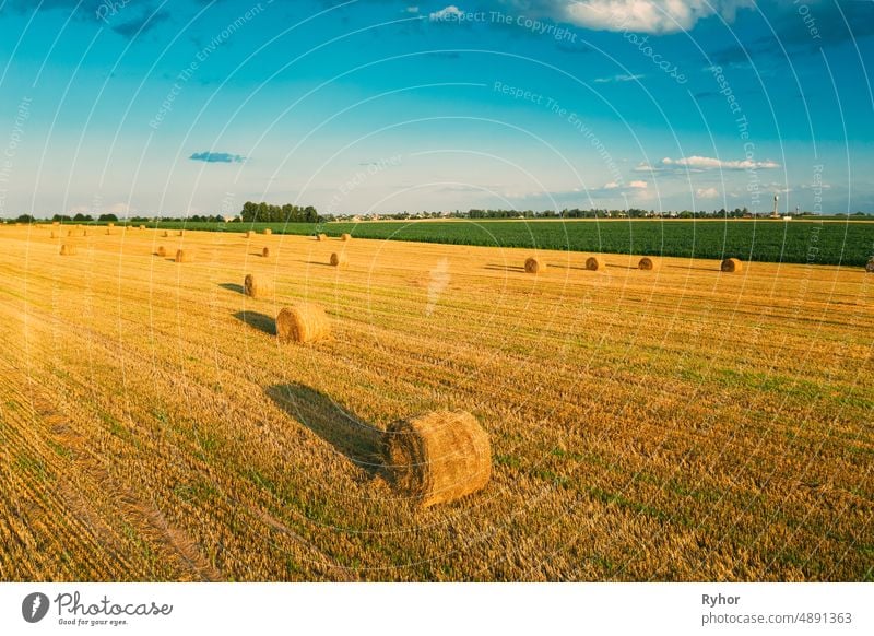 Luftaufnahme von Sommer Heu Rollen Stroh Feld Landschaft am Abend. Heuhaufen, Heu-Rolle in Sonnenaufgang Zeit trocknen Antenne landwirtschaftlich Ackerbau