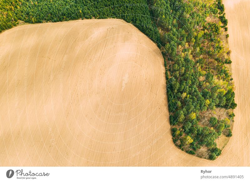 Aerial Top View of Agricultural Landscape With Growing Forest Trees On Border With Field. Schöne ländliche Landschaft in der Vogelperspektive. Spring Field With Empty Soil