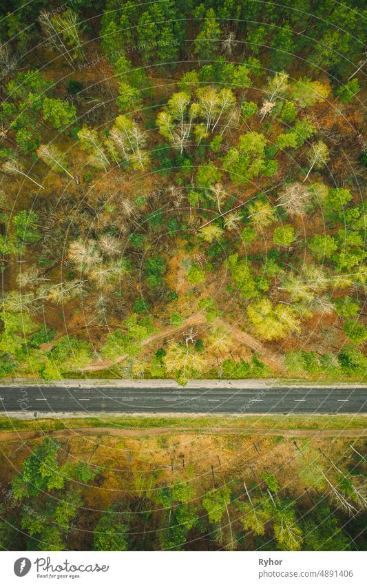 Aerial View of Road Through Spring Forest Landschaft. Top View Of Landstraße Antenne Luftaufnahme Einstellung schön erhöhte Ansicht Umwelt Europa Wald Natur