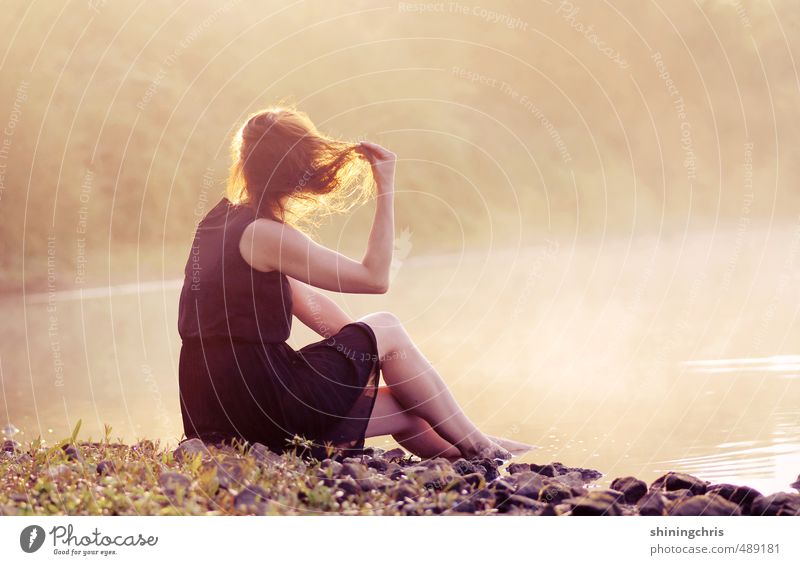 morgengold feminin Junge Frau Jugendliche 1 Mensch 30-45 Jahre Erwachsene Landschaft Wasser Sonnenlicht Klima Nebel Seeufer Kleid brünett Schwimmen & Baden