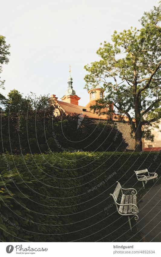 In der Stadt der hundert Türme (drei vierachtel) Goldene Stadt Prag Sonne Architektur Mittelalter historisch Tschechien Europa Ferien & Urlaub & Reisen