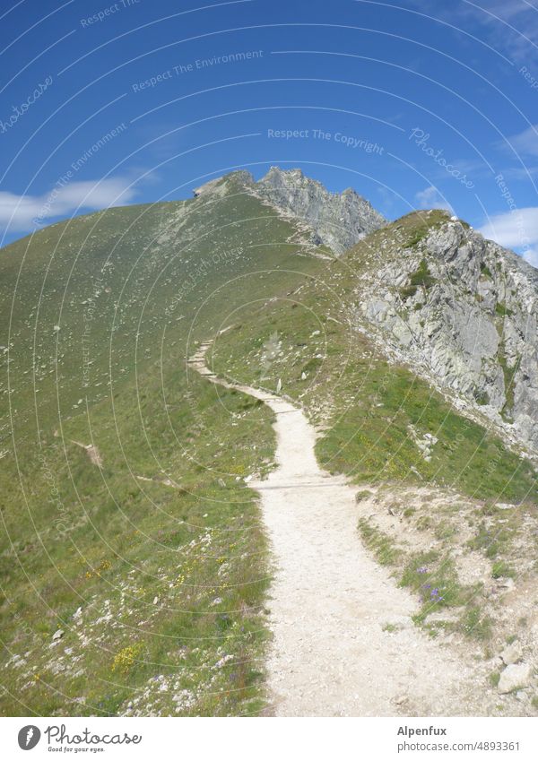 Wanderlust | im Gebirge Berge u. Gebirge wandern wanderlust Natur Außenaufnahme Wanderausflug Ferien & Urlaub & Reisen Wandertag Landschaft wanderweg Farbfoto